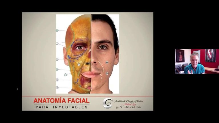 Descubre cómo la anatomía facial es clave en la medicina estética.